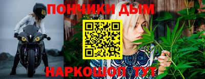 дурь Шебекино