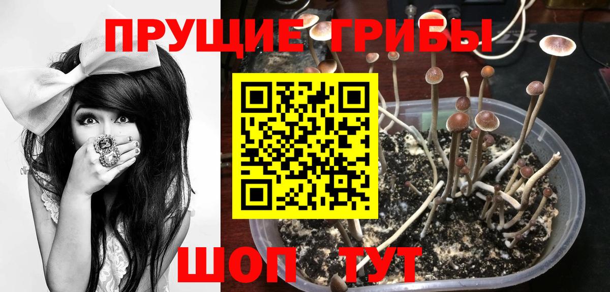 Троицк  Псилоцибиновые грибы Psilocybe  Галлюциногенные грибы GOLDEN TEACHER  Вход с VPN 