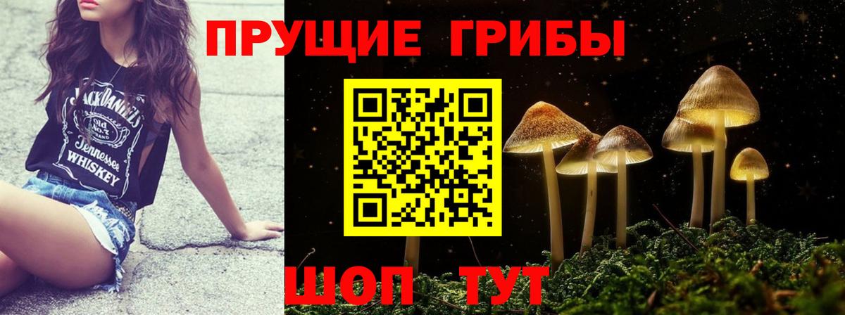 Псилоцибиновые грибы мицелий Троицк